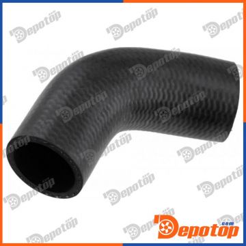 Gaine de suralimentation pour RENAULT | GPP-RE-069, 54SKV023